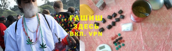 спайс Арсеньев