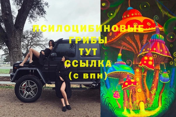 спайс Арсеньев