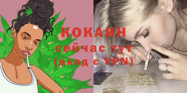 спайс Арсеньев