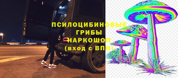 спайс Арсеньев