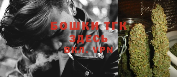 спайс Арсеньев