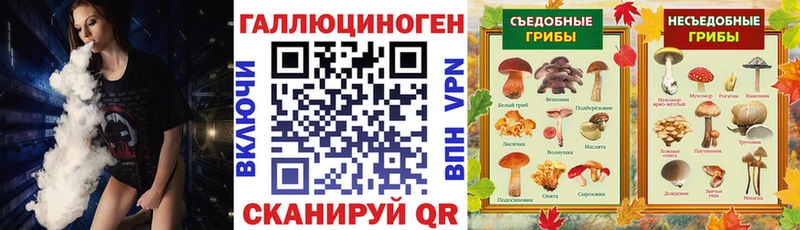 Псилоцибиновые грибы Magic Shrooms  купить  цена  Боровск 